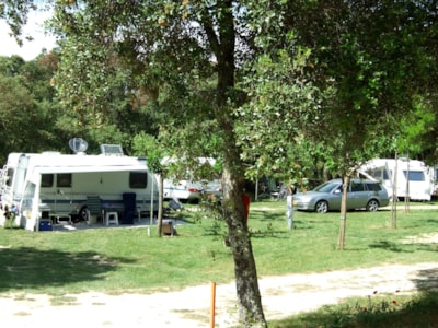 PITCH (Car Caravan/ Camping car or Tent) + electricity 10 AMP + 2 Persons — 2