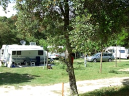 Emplacement - Forfait Camping Card Acsi  (Présentation De La Carte Obligatoire) 2 Personnes - Electricité 10A - 1 Chien - Camping Les Chênes