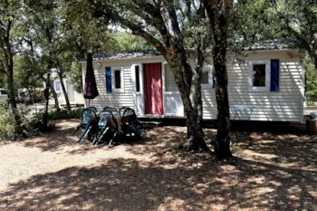 Mietunterkunft - Mobilheim Komfort Klimatisiert - 2 Zi - 24M² / Palme Und Olivenbaum - Camping Les Chênes
