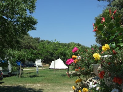 PITCH (Car Caravan/ Camping car or Tent) + electricity 10 AMP + 2 Persons — 4