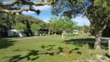 Foto #7 van Camping Les Chênes