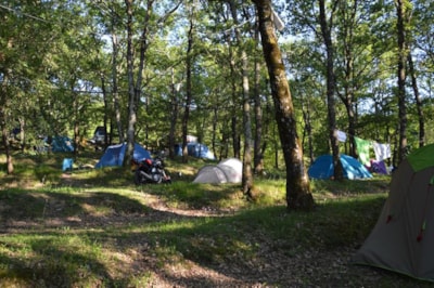 Pitch for car or motorbike and tent — 6