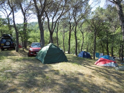 Pitch for car or motorbike and tent — 10