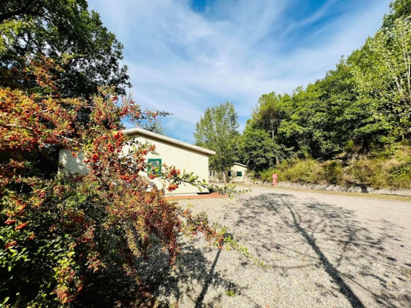 Apartment mit 2 Schlafzimmer