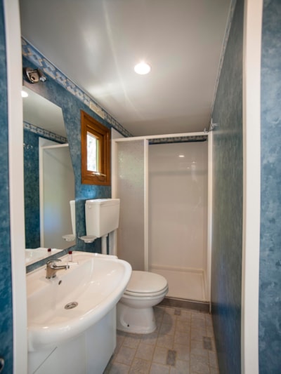 Mobile Home Standard with 2 bedrooms — 9