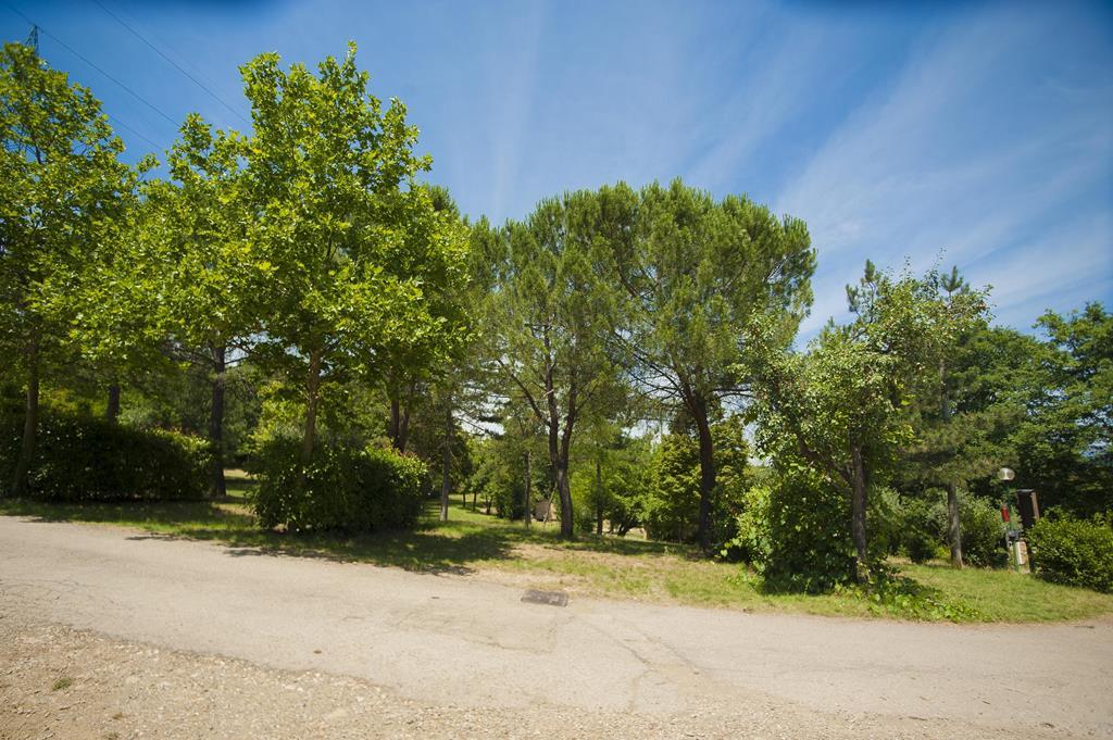 Camping Village Internazionale Firenze - Toscana - Immagine n°5 Camping Village Internazionale Firenze - Toscana - Immagine n°5