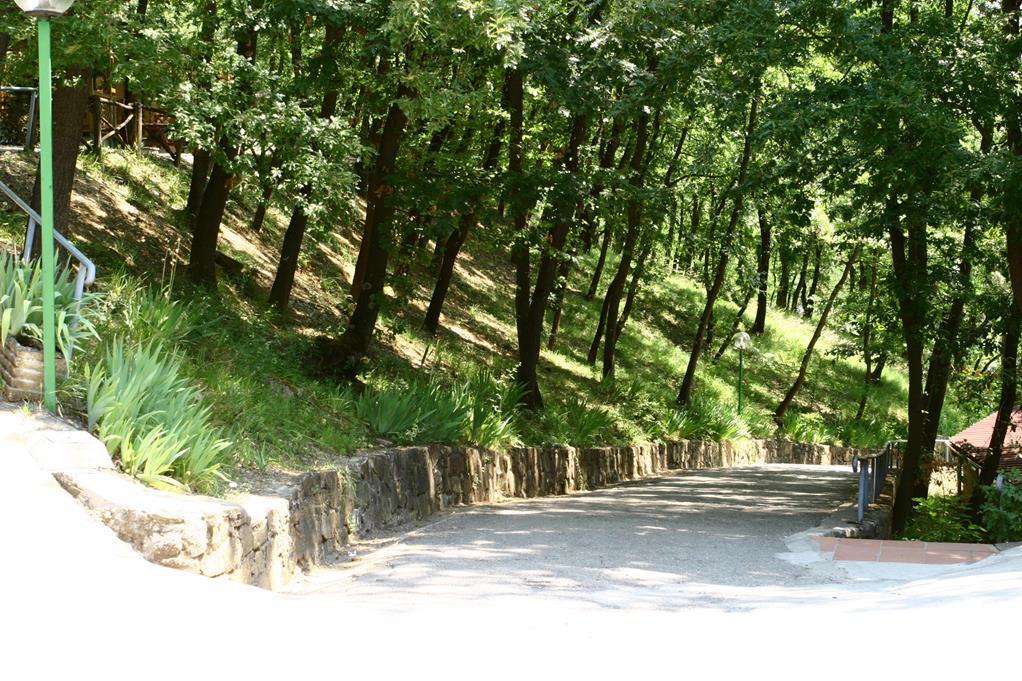 Camping Village Internazionale Firenze - Toscana - Immagine n°4 Camping Village Internazionale Firenze - Toscana - Immagine n°4