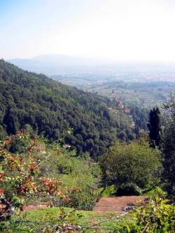 Camping Village Panoramico Fiesole - image n°48 - Roulottes
