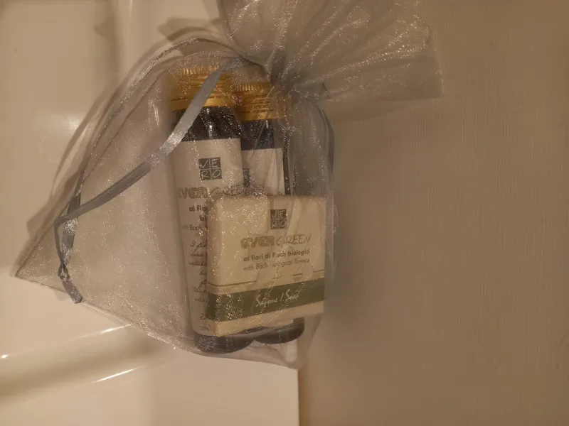 Mobilhome Supérieur Pour 5 Personnes Y Compris Bébés