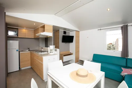 Location - Mobilhome Premium Dynasty Climatisé - image n°1 - La Colombière