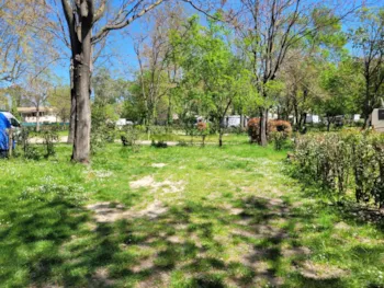 Stellplatz - Stellplatz, Wohnwagen + Auto/Motorrad Oder Wohnmobil - Camping Bagatelle