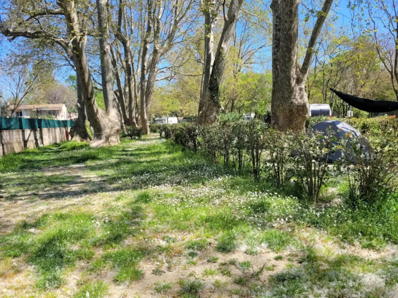 Emplacement, Caravane + Voiture/Moto Ou Camping-Car