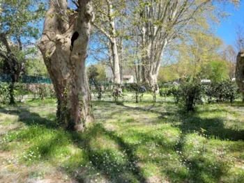 Stellplatz - Place For Car And Tent - Camping Bagatelle