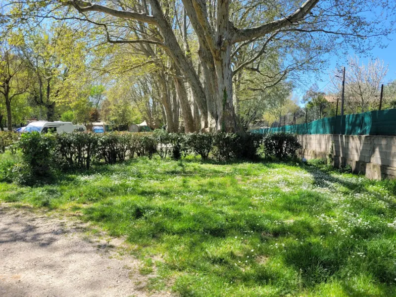 Emplacement Pour Voiture Avec Tente