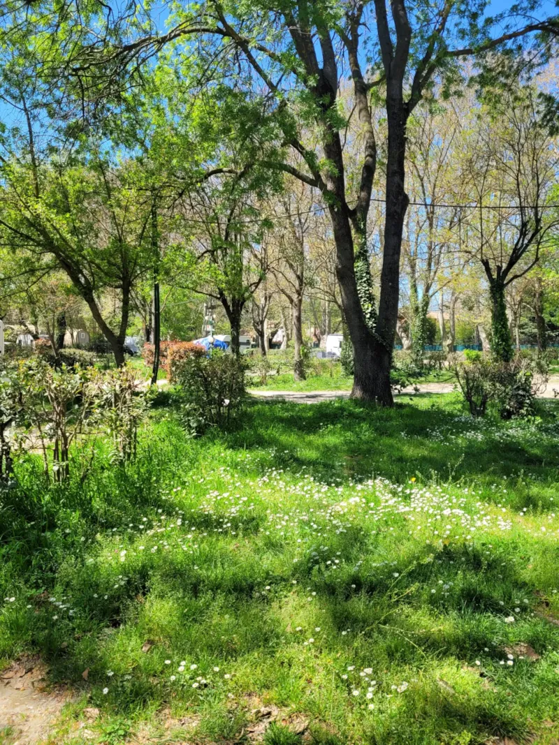 Emplacement Pour Voiture Avec Tente