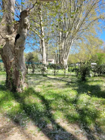 Stellplatz - Groupe - Camping Bagatelle