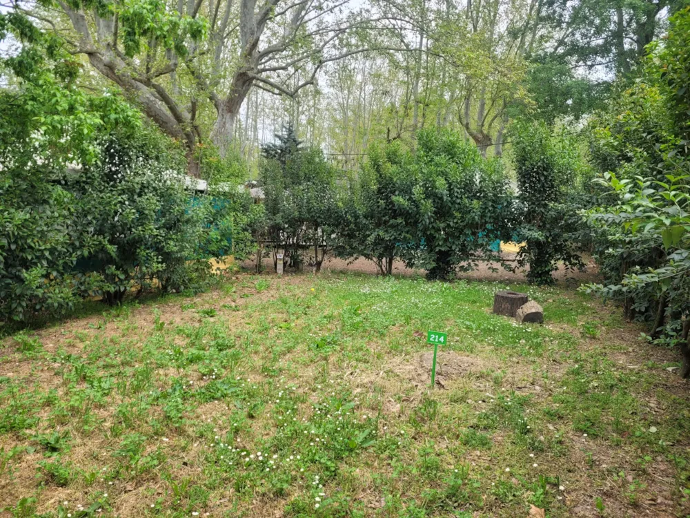 Emplacement - Emplacement Pour Piéton - Camping Bagatelle