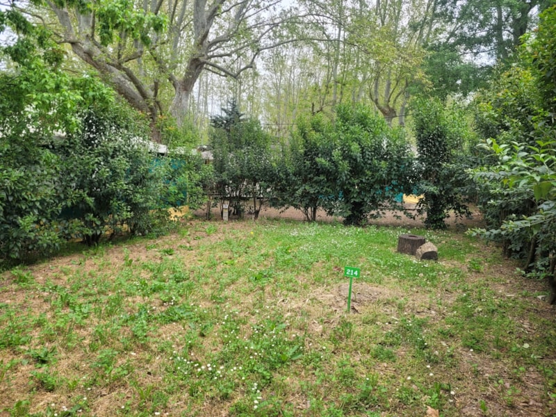 Camping Bagatelle photo 3