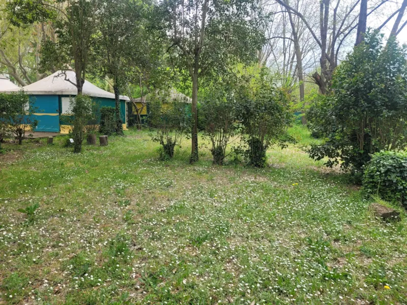 Emplacement Pour Piéton