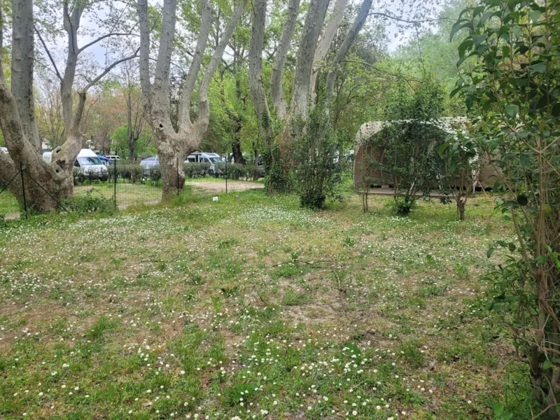 Emplacement Pour Piéton