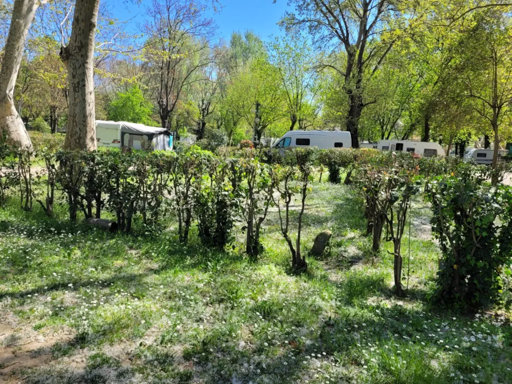 Camping Bagatelle