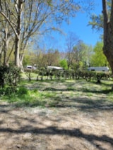 Foto #8 van Camping Bagatelle