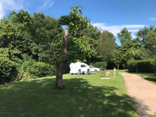 Emplacement - Emplacement Standard Caravane, Tente Ou Camping Car (Longueur Max De 8M) - image n°2 - Camping les Ripettes