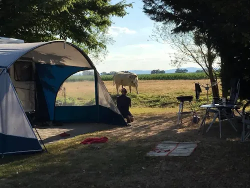 Emplacement - Emplacement Standard Caravane, Tente Ou Camping Car (Longueur Max De 8M) - image n°3 - Camping les Ripettes