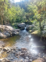 Foto #12 van Camping Le Pastural