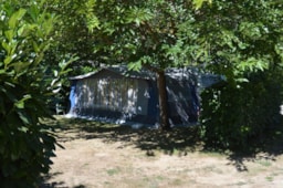 Pitch - Standard Pitch Without Electricity (Car + Tent/Caravan Or Camping-Car) - Camping Du Vieux Château