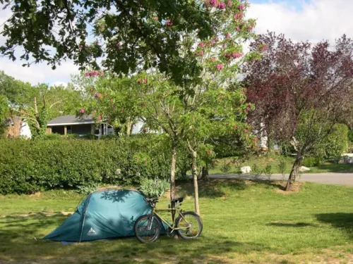 Pitch - Shaded Grass Pitch With 10A Electricity - image n°4 - CAMPING LA DIGUE