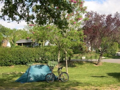Shaded grass pitch with 10A electricity
