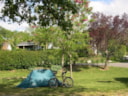 Emplacements De Camping Avec Électricité Emplacements De Camping Avec Électricité