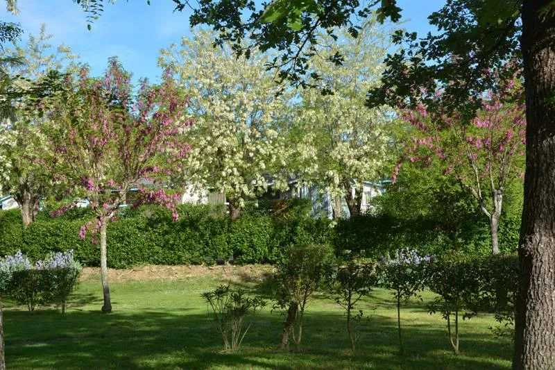 Emplacements De Camping Avec Électricité