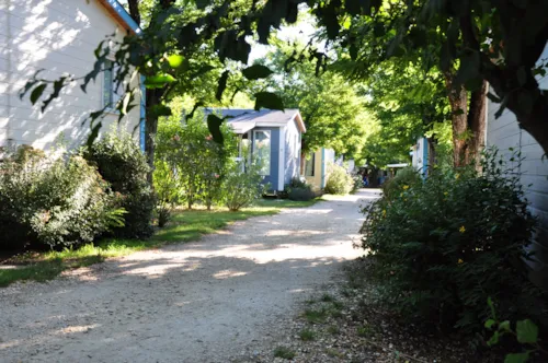 Accommodation - Cottage Chalet -2 Bedrooms - 35M² With Bathroom - image n°3 - CAMPING LA DIGUE