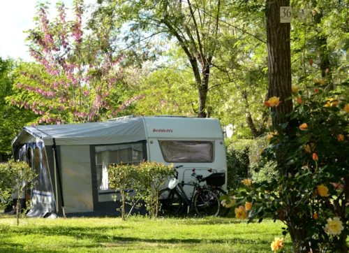 Pitch - Shaded Grass Pitch With 10A Electricity - image n°3 - CAMPING LA DIGUE