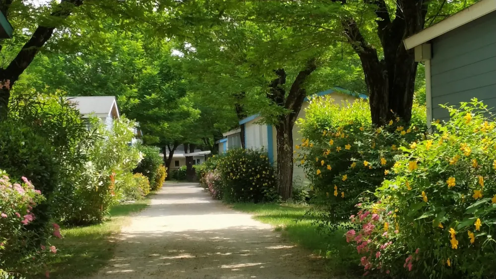 CAMPING LA DIGUE - image n°10 - Ardeche