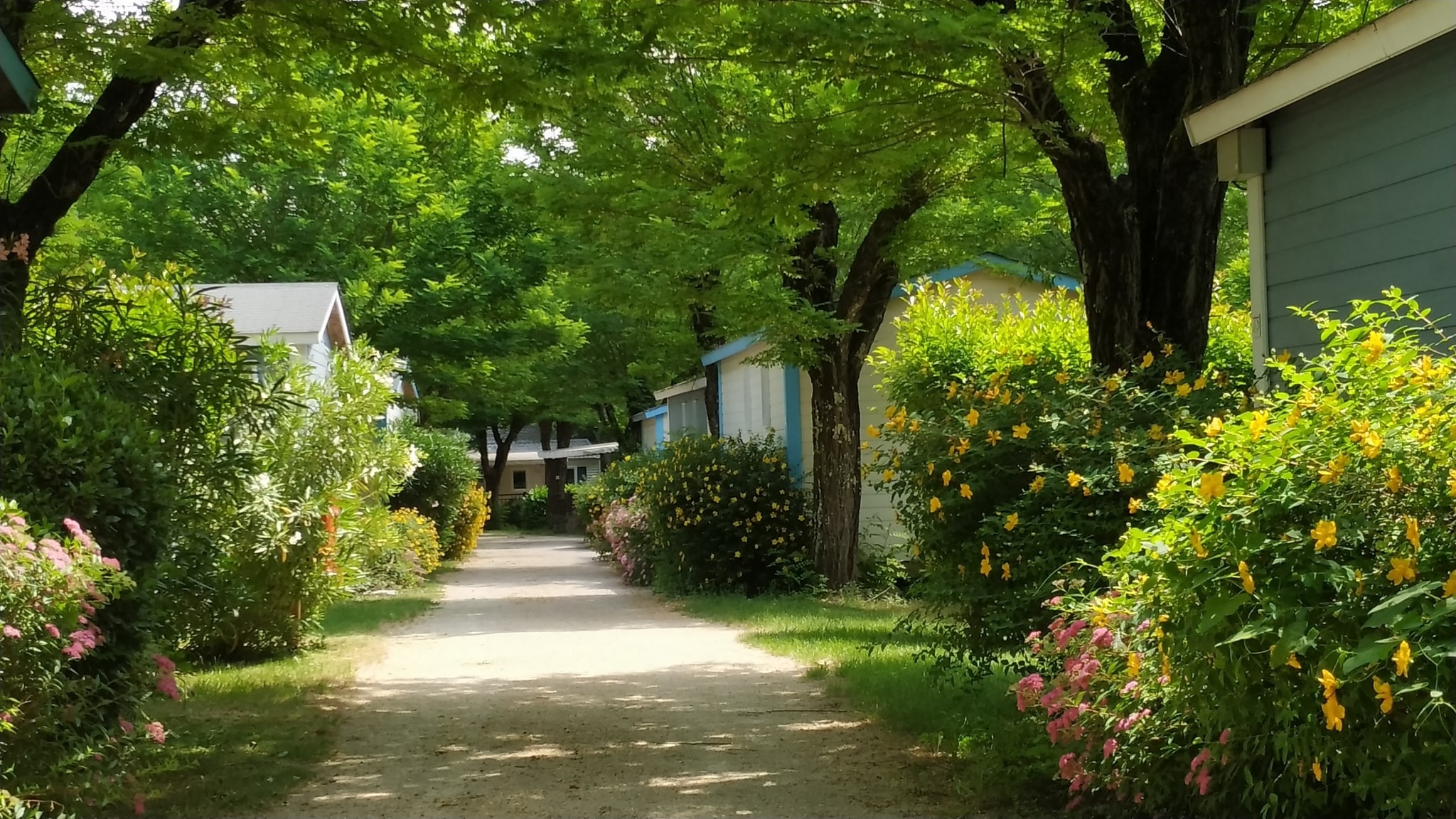 CAMPING LA DIGUE — Foto 10