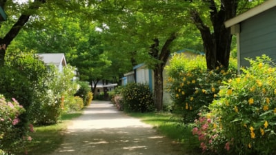 CAMPING LA DIGUE
