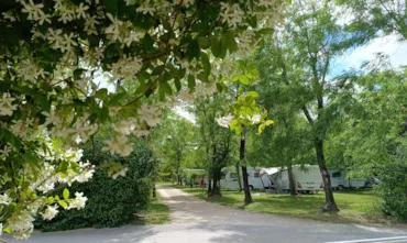 CAMPING LA DIGUE - Ardeche