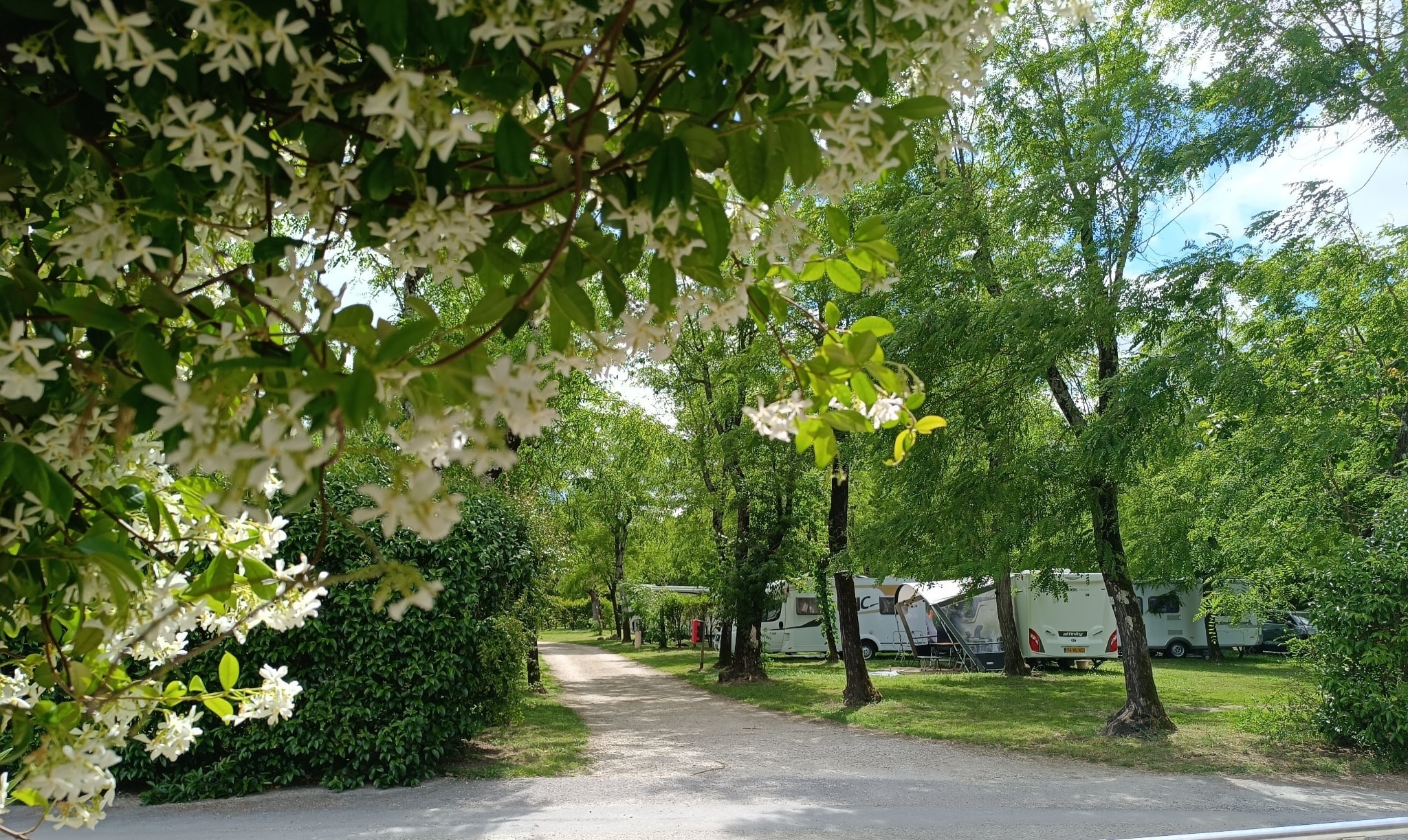 CAMPING LA DIGUE — Foto 2