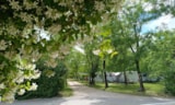 Foto #2 van Camping La Digue