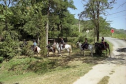 CAMPING ISERAND CALME et NATURE*** - image n°33 - Roulottes