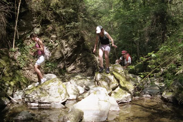 CAMPING ISERAND CALME et NATURE***