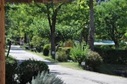 Stellplatz - Stellplatz - CAMPING ISERAND CALME et NATURE***