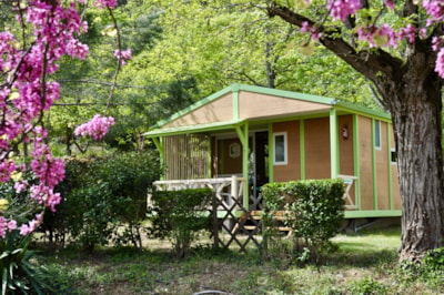 Cabin No. 4 Albizia, 28 m², fully equipped, optional TV, optional air conditioning