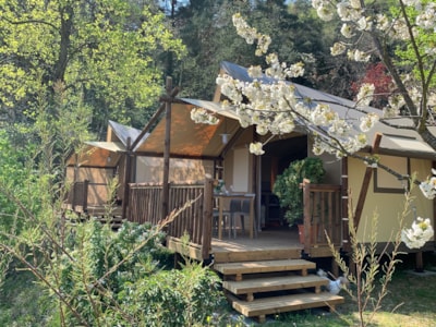 Tent Lodge 31 m²