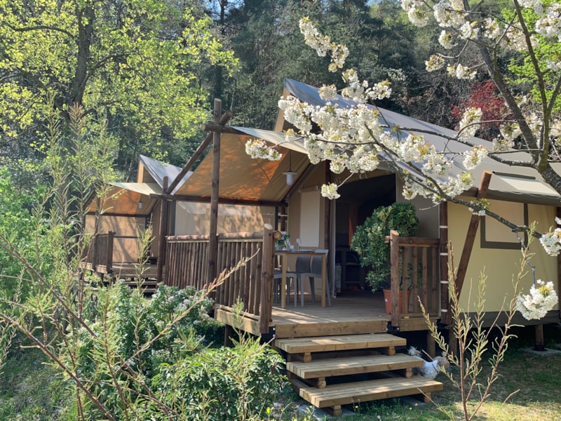 Tenda Lodge 31 m²