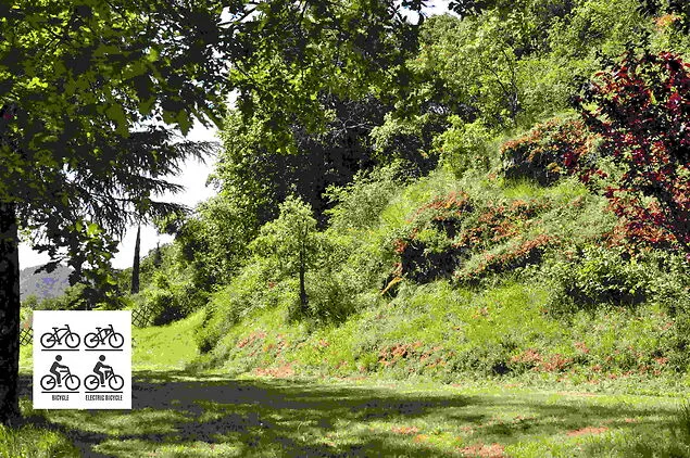 Emplacement Spécial Vélo / Bicycle