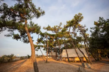 Huttopia Noirmoutier - image n°3 - Camping Direct